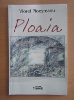 Viorel Ploesteanu - Ploaia
