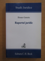 Ilioara Genoiu - Raportul juridic