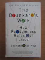 Leonard Mlodinow - The Drunkard's Walk. How Randomness Rules Our Lives