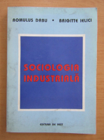 Romulus Dabu - Sociologia industriala