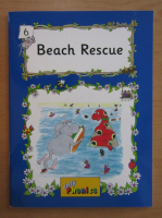 Beach Rescue