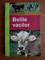 Winfried Hofmann - Bolile vacilor