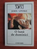 John Updike - O luna de duminici