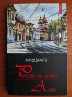 Mihai Zamfir - Poveste de iarna. Acasa