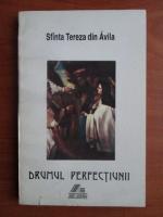 Sfanta Tereza din Avila - Drumul perfectiunii