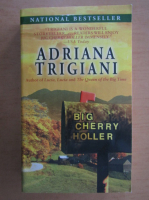 Adriana Trigiani - Big Cherry Holler