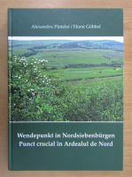 Alexandru Pintelei - Punct crucial in Ardealul de Nord (editie bilingva)