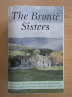 Charlotte Bronte - The Bronte Sisters