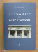 Decebal Urdea - Economist sub doua economii