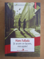 Hans Fallada - Si acum ce facem, micutule?