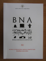 Sergiu Nistor - Bineala nationala de arhitectura (volumul 11)