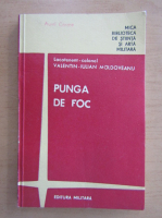 Valentin Iulian Moldoveanu - Punga de foc