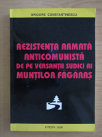 Grigore Constantinescu - Rezistenta armata anticomunista de pe versantii sudici ai Muntilor Fagaras