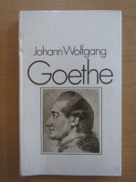 Hans Heinrich Reuter - Johann Wolfgang Goethe