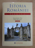 Ioan Aurel Pop - Istoria Romaniei
