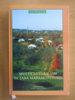 Ion Petrovai - Multiculturalism in Tara Maramuresului