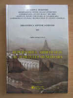 Sabin Adrian Luca - Bibliotheca septemcastrensis, volumul 14. Repertoriul arheologic al judetului Hunedoara