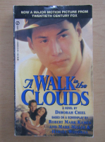 Deborah Chiel - A Walk in the Clouds