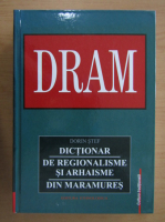 Dorin Stef - Dictionar de regionalisme si arhaisme din Maramures