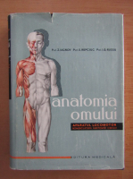 Z. Iagnov - Anatomia omului. Aparatul locomotor