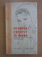 Bujorel crescut in soare