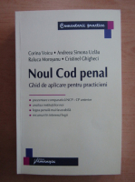 Corina Voicu - Noul Cod Penal