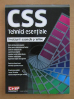 CSS Tehnici esentiale. Invata prin exemple practice