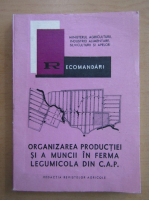 Organizarea productiei si a muncii in ferma legumicola din C. A. P.