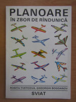 Planoare in zbor de randunica