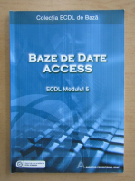 Baze de date Access. ECDL modulul 5