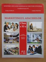 Suzana Ilie - Marketingul afacerilor. Manual pentru clasa a XI-a