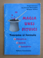 Virgil Ionescu - Magia unei fituici