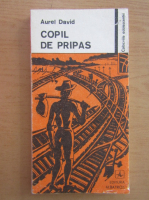 Aurel David - Copil de pripas