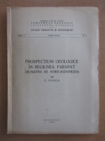 C. Stoica - Prospectiuni geologice in regiunea Parapat
