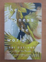 Lori Ostlund - The bigness of the world