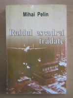 Mihai Pelin - Raidul escadrei tradate