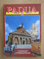 Anticariat: Padua. History, Art, Culture