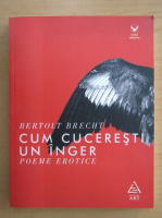 Bertolt Brecht - Cum cuceresti un inger (editie bilingva)