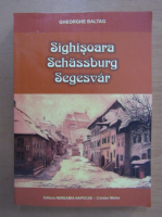 Gheorghe Baltag - Sighisoara