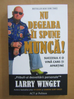 Larry Winget - Nu degeaba ii spune munca! Succesul e o vina care-ti apartine