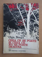 Olga Neagu - Ceea ce se poate si ceea ce nu se poate imagina