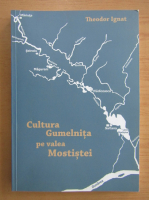 Theodor Ignat - Cultura Gumelnita pe valea Mostistei