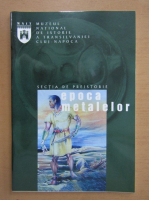 Muzeul National de istorie a Transilvaniei, Cluj-Napoca. Sectia de preistorie epoca metalelor