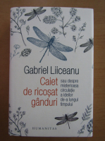 Anticariat: Gabriel Liiceanu - Caiet de ricosat ganduri