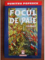 Dumitru Popescu - Focul de paie