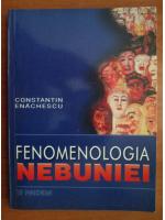 Constantin Enachescu - Fenomenologia nebuniei