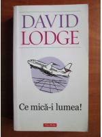 David Lodge - Ce mica-i lumea!