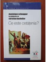 Anticariat: Dominique Schnapper, Christian Bachelier - Ce este cetatenia?