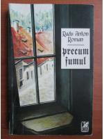 Radu Anton Roman - Precum fumul