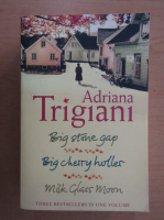 Adriana Trigiani - The Big Stone Gap Trilogy